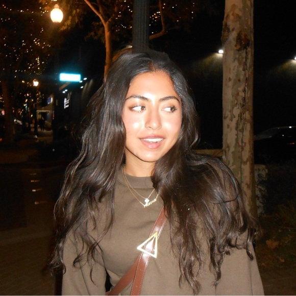 aleenanessar